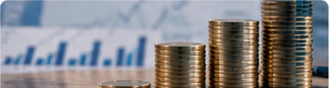 Grado en Economía